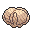 Wooden Crown
