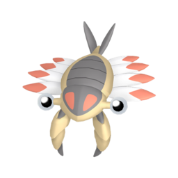 Anorith shiny