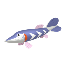Arrokuda shiny