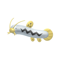 Barboach shiny