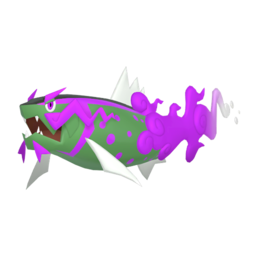 Basculegion (Male) shiny