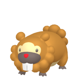 Bidoof