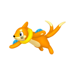 Buizel