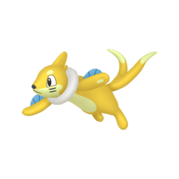 Buizel shiny
