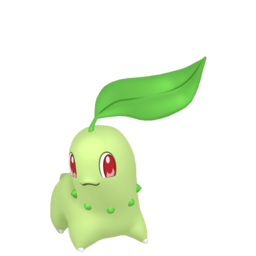 Chikorita