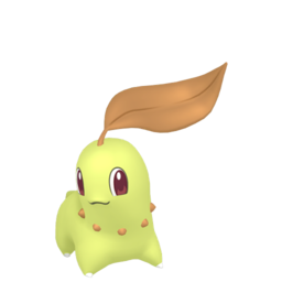 Chikorita shiny