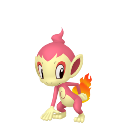 Chimchar shiny