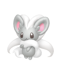 Cinccino