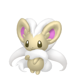 Cinccino shiny