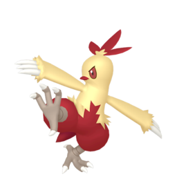 Combusken shiny