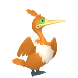 Cramorant shiny