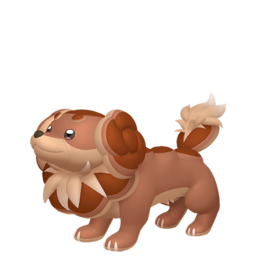 Dachsbun shiny