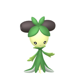 Dolliv shiny