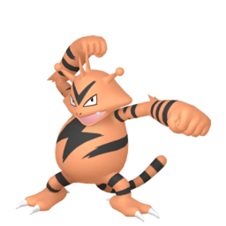 Electabuzz shiny