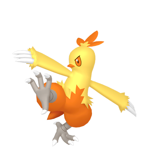 Combusken (Female)