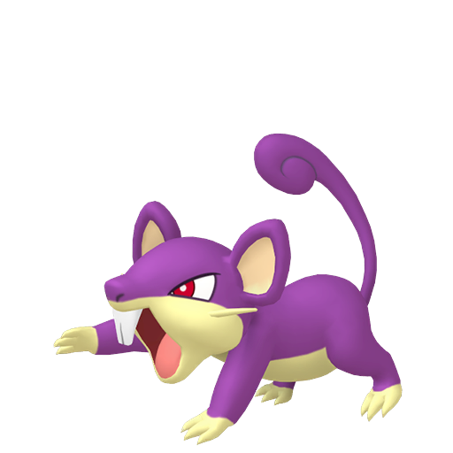 Rattata (Female)