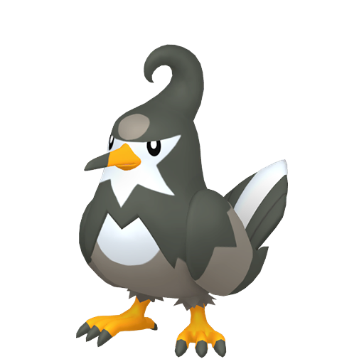 Staravia (Female)