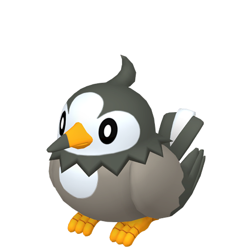 Starly (Female)