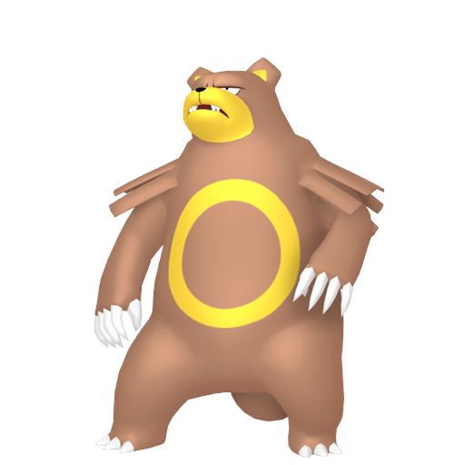 Ursaring (Female)