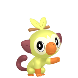 Grookey shiny