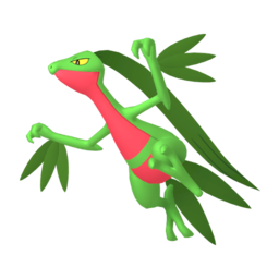 Grovyle