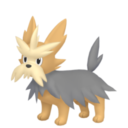 Herdier shiny