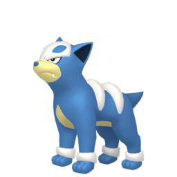 Houndour shiny