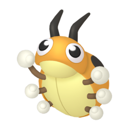 Ledyba shiny