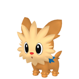 Lillipup