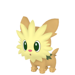 Lillipup shiny