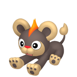 Litleo