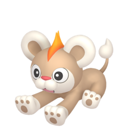 Litleo shiny