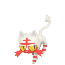 Litten shiny