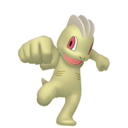 Machop shiny