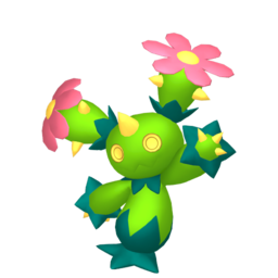 Maractus