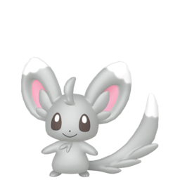 Minccino