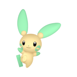 Minun shiny
