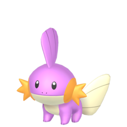 Mudkip shiny