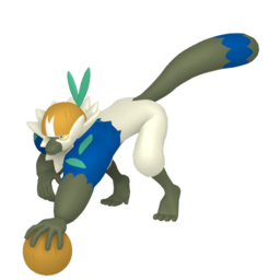 Passimian shiny