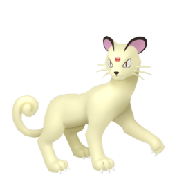 Persian shiny