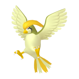 Pidgeotto shiny