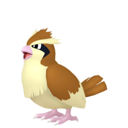 Pidgey