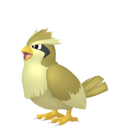 Pidgey shiny