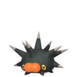 Pincurchin shiny