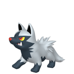 Poochyena
