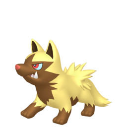 Poochyena shiny