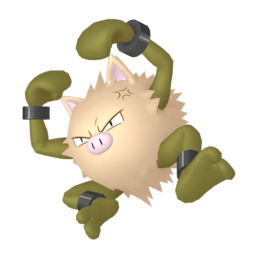 Primeape shiny