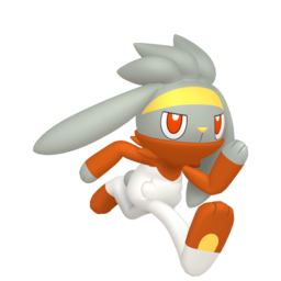 Raboot shiny