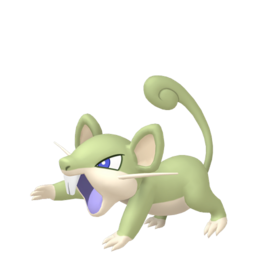 Rattata shiny