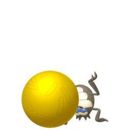 Rellor shiny